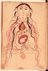 Ms Persan 151 Fol.32 Anatomische Darstellung einer Frau und ihres Fötus